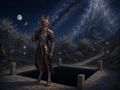 Thumbnail for version as of 17:07, 17 July 2026