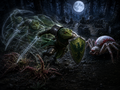 Thumbnail for version as of 14:24, 5 August 2026